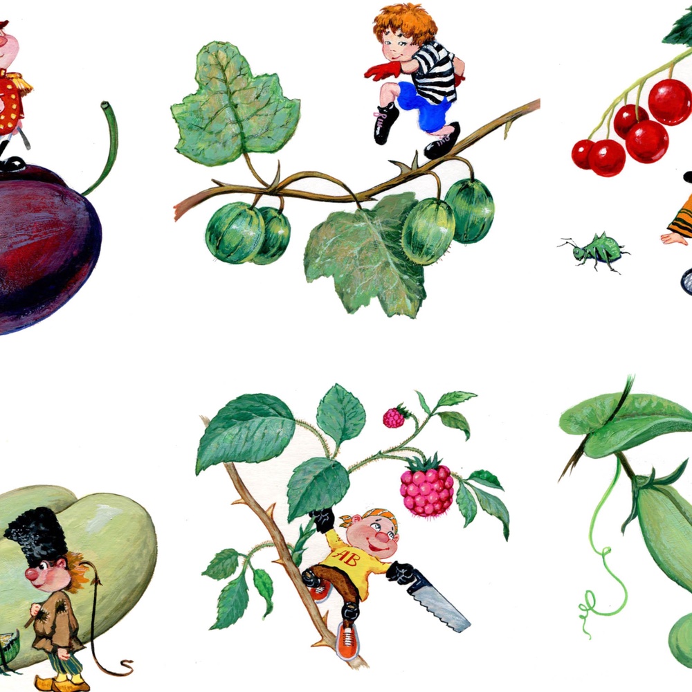 Книга 
"Загадки с грядки".